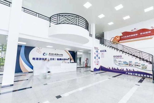 廣東新設(shè)職業(yè)本科院校首次招生，軟件服務(wù)專業(yè)迎來210名學子